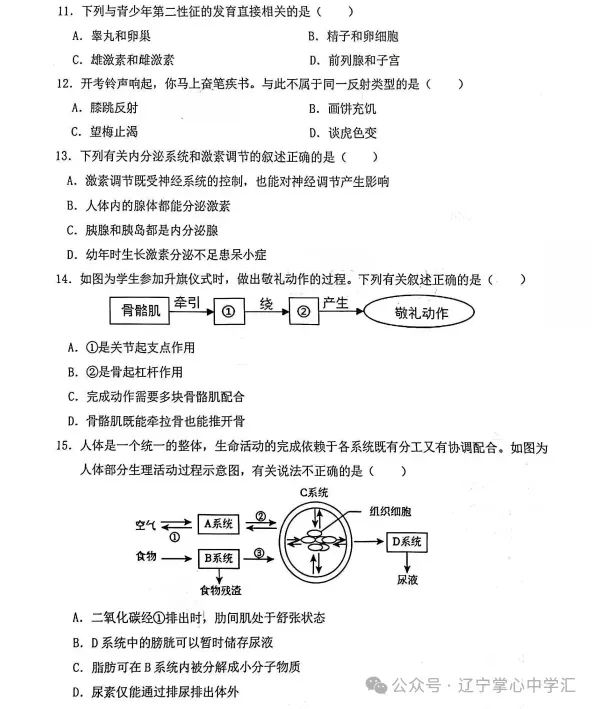 2026年3月鞍山铁东某校八年期初试卷+答案 第68张
