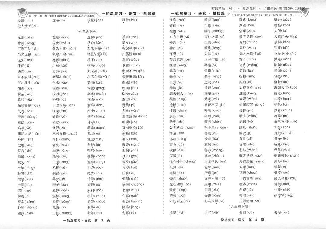 2026中考加分一轮总复习 语文基础篇-第14张图片-四季读书网