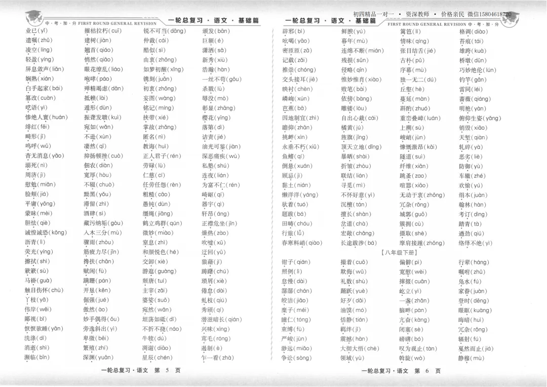 2026中考加分一轮总复习 语文基础篇-第15张图片-四季读书网