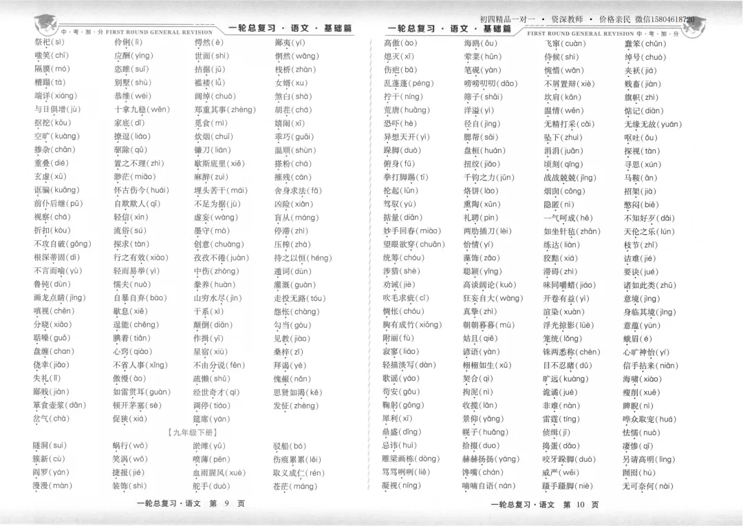 2026中考加分一轮总复习 语文基础篇-第17张图片-四季读书网
