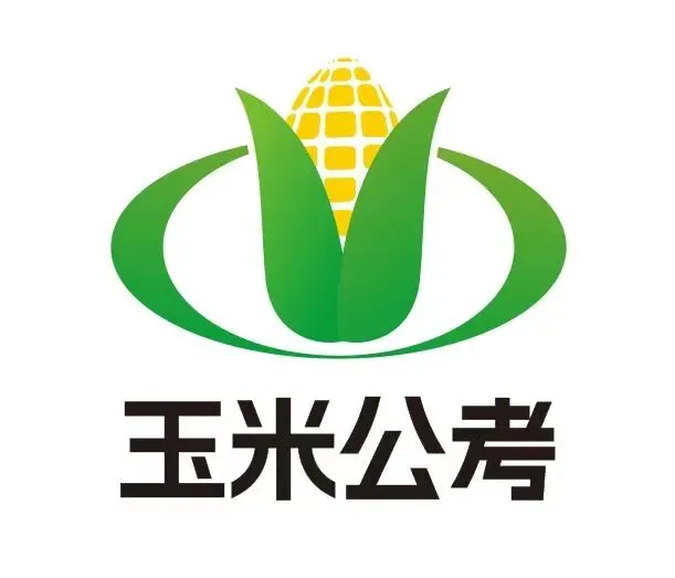 统考倒计时2天:每一次模考,都是为了更好的绽放 第11张 统考倒计时2天:每一次模考,都是为了更好的绽放 第11张