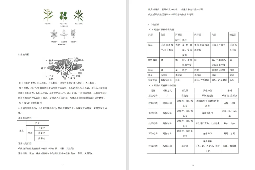 【搞定上海中考跨学科+初中会考】有这份资料就够了,涵盖地理+生物!-第12张图片-四季读书网