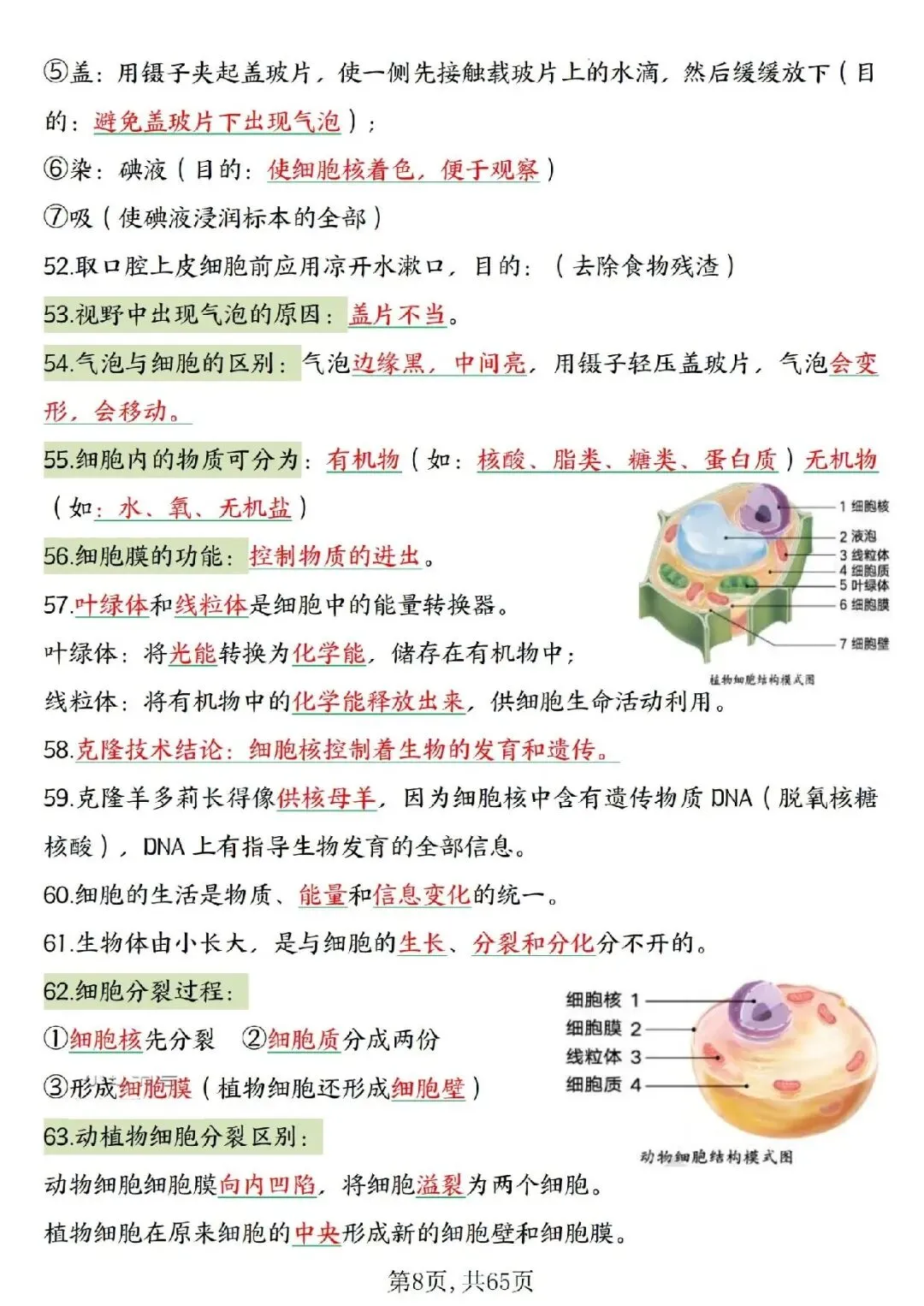 2026春中考复习7-8年级生物高频考点汇总,家长可提前打印完整版使用! 第10张 2026春中考复习7-8年级生物高频考点汇总,家长可提前打印完整版使用! 第10张