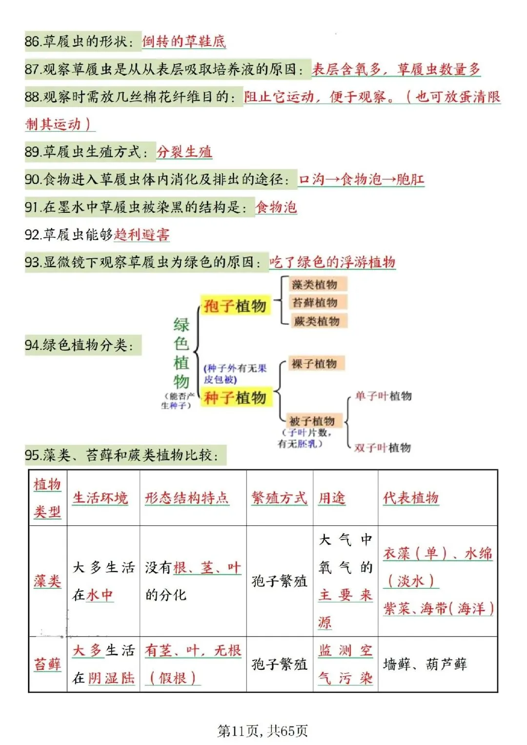 2026春中考复习7-8年级生物高频考点汇总,家长可提前打印完整版使用! 第13张 2026春中考复习7-8年级生物高频考点汇总,家长可提前打印完整版使用! 第13张