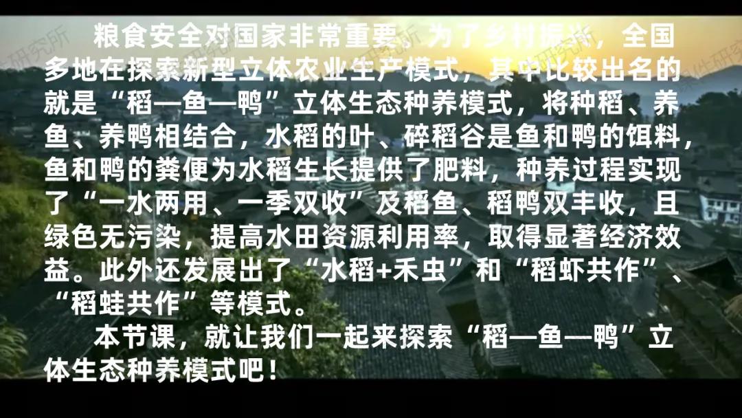 中考复习课件《生物与环境》细讲“稻-鱼-鸭”生态种养模式,还有学历案资料哦~丨名师系列 第6张 中考复习课件《生物与环境》细讲“稻-鱼-鸭”生态种养模式,还有学历案资料哦~丨名师系列 第6张