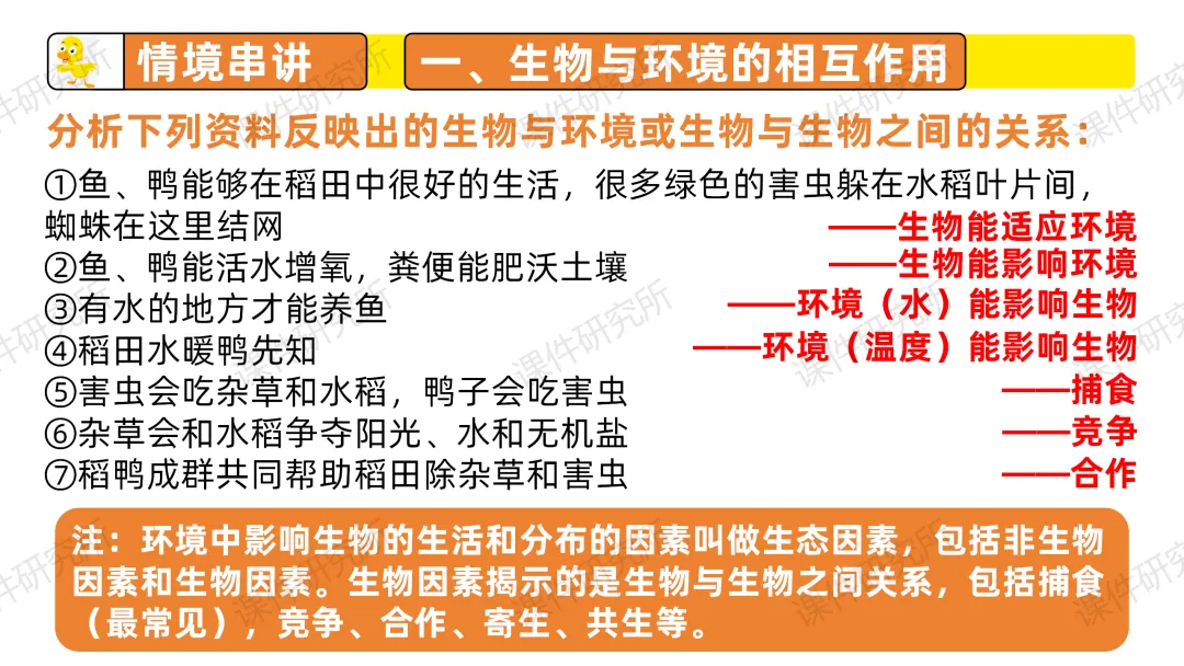 中考复习课件《生物与环境》细讲“稻-鱼-鸭”生态种养模式,还有学历案资料哦~丨名师系列 第8张 中考复习课件《生物与环境》细讲“稻-鱼-鸭”生态种养模式,还有学历案资料哦~丨名师系列 第8张