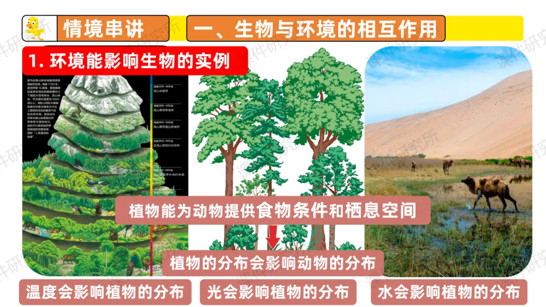 中考复习课件《生物与环境》细讲“稻-鱼-鸭”生态种养模式,还有学历案资料哦~丨名师系列 第9张 中考复习课件《生物与环境》细讲“稻-鱼-鸭”生态种养模式,还有学历案资料哦~丨名师系列 第9张