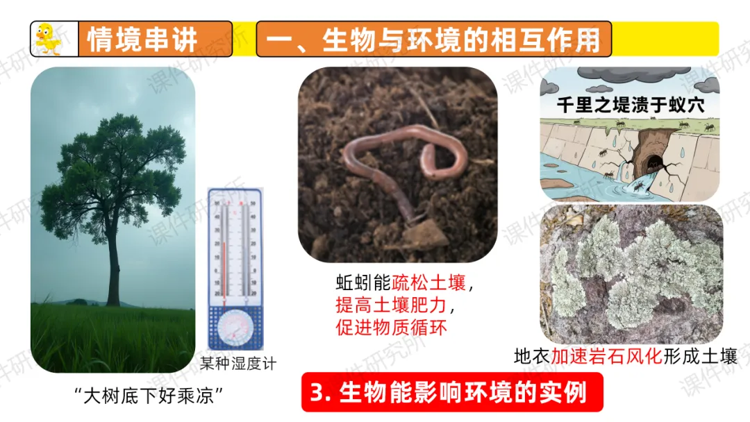 中考复习课件《生物与环境》细讲“稻-鱼-鸭”生态种养模式,还有学历案资料哦~丨名师系列 第13张 中考复习课件《生物与环境》细讲“稻-鱼-鸭”生态种养模式,还有学历案资料哦~丨名师系列 第13张