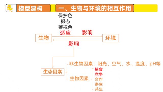 中考复习课件《生物与环境》细讲“稻-鱼-鸭”生态种养模式,还有学历案资料哦~丨名师系列 第14张 中考复习课件《生物与环境》细讲“稻-鱼-鸭”生态种养模式,还有学历案资料哦~丨名师系列 第14张