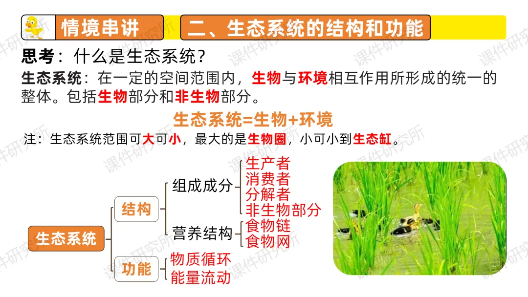 中考复习课件《生物与环境》细讲“稻-鱼-鸭”生态种养模式,还有学历案资料哦~丨名师系列 第16张 中考复习课件《生物与环境》细讲“稻-鱼-鸭”生态种养模式,还有学历案资料哦~丨名师系列 第16张