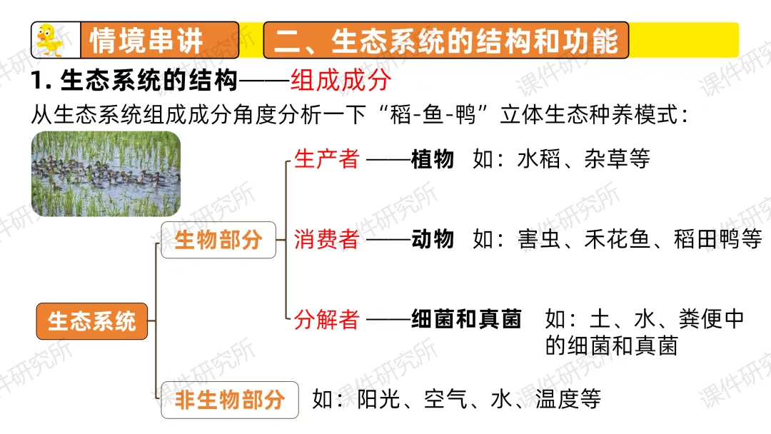 中考复习课件《生物与环境》细讲“稻-鱼-鸭”生态种养模式,还有学历案资料哦~丨名师系列 第17张 中考复习课件《生物与环境》细讲“稻-鱼-鸭”生态种养模式,还有学历案资料哦~丨名师系列 第17张