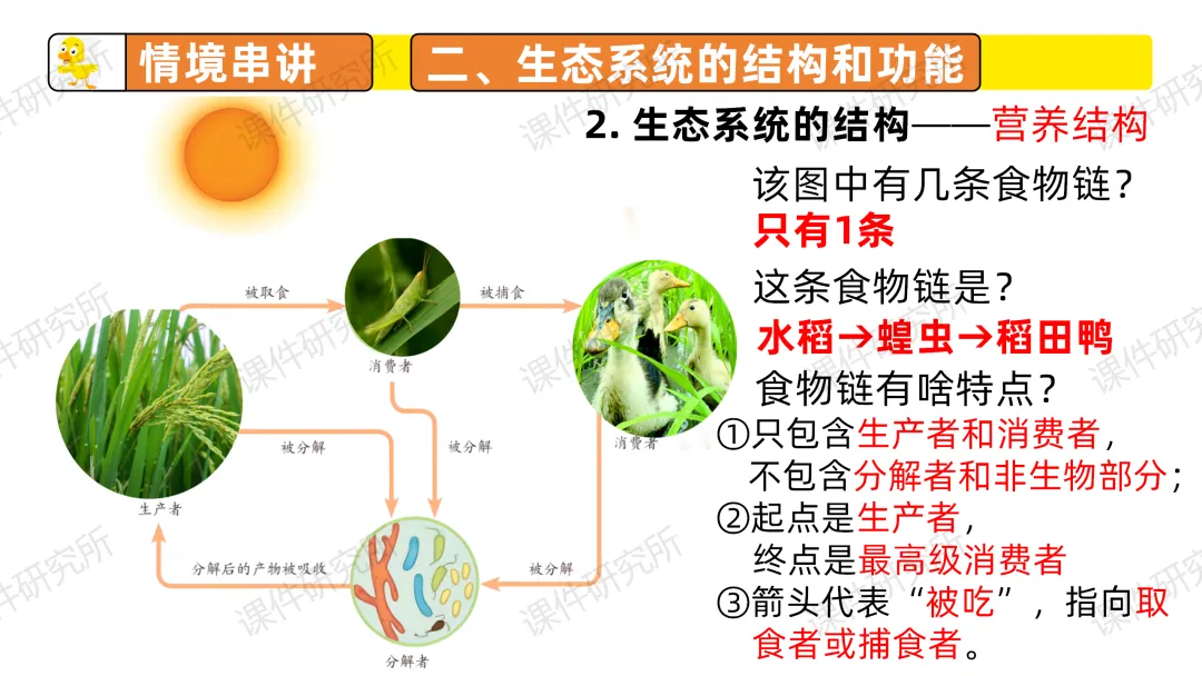 中考复习课件《生物与环境》细讲“稻-鱼-鸭”生态种养模式,还有学历案资料哦~丨名师系列 第20张 中考复习课件《生物与环境》细讲“稻-鱼-鸭”生态种养模式,还有学历案资料哦~丨名师系列 第20张