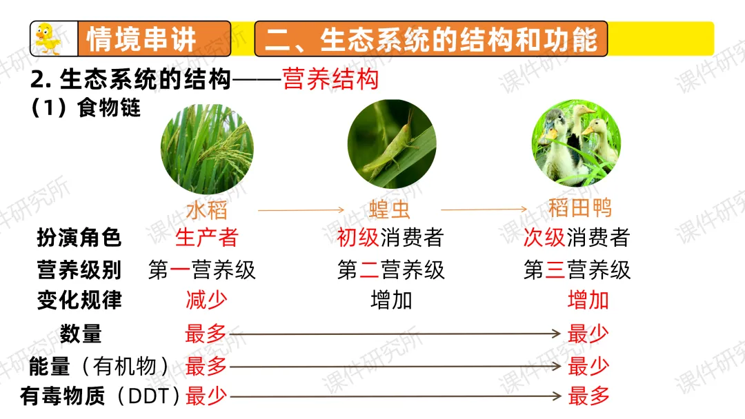 中考复习课件《生物与环境》细讲“稻-鱼-鸭”生态种养模式,还有学历案资料哦~丨名师系列 第21张 中考复习课件《生物与环境》细讲“稻-鱼-鸭”生态种养模式,还有学历案资料哦~丨名师系列 第21张