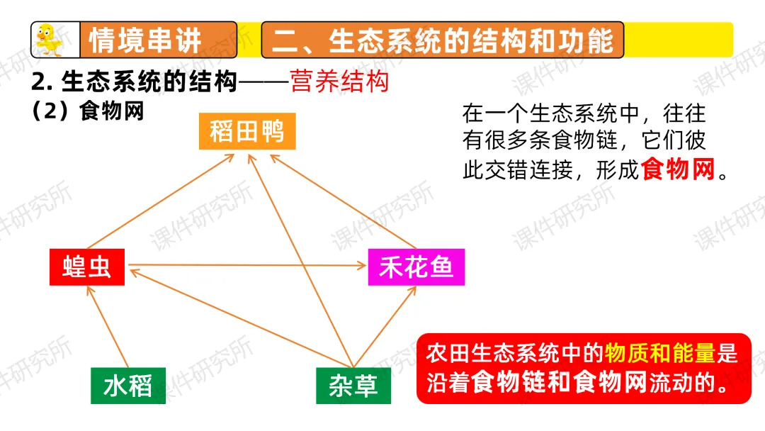 中考复习课件《生物与环境》细讲“稻-鱼-鸭”生态种养模式,还有学历案资料哦~丨名师系列 第24张 中考复习课件《生物与环境》细讲“稻-鱼-鸭”生态种养模式,还有学历案资料哦~丨名师系列 第24张