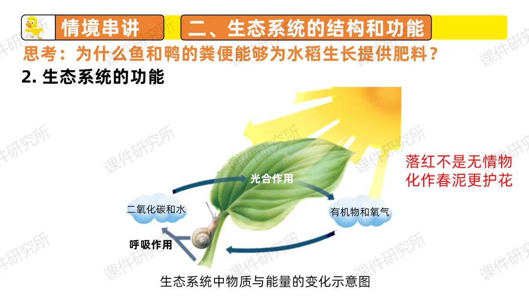 中考复习课件《生物与环境》细讲“稻-鱼-鸭”生态种养模式,还有学历案资料哦~丨名师系列 第25张 中考复习课件《生物与环境》细讲“稻-鱼-鸭”生态种养模式,还有学历案资料哦~丨名师系列 第25张