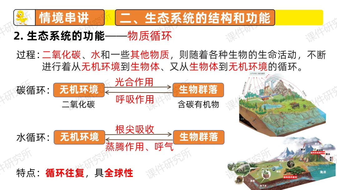 中考复习课件《生物与环境》细讲“稻-鱼-鸭”生态种养模式,还有学历案资料哦~丨名师系列 第26张 中考复习课件《生物与环境》细讲“稻-鱼-鸭”生态种养模式,还有学历案资料哦~丨名师系列 第26张