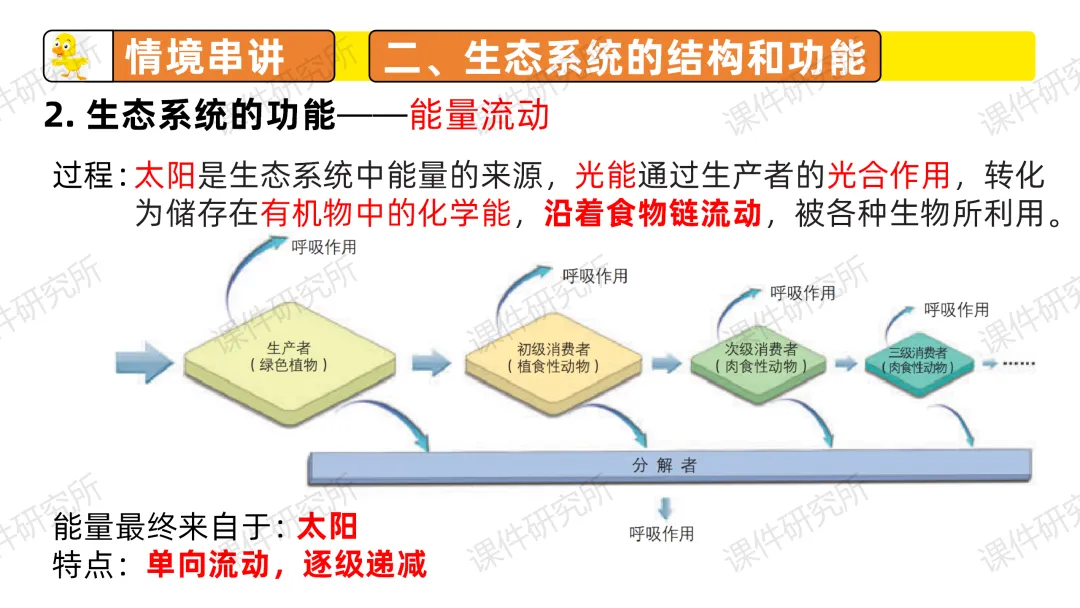 中考复习课件《生物与环境》细讲“稻-鱼-鸭”生态种养模式,还有学历案资料哦~丨名师系列 第29张 中考复习课件《生物与环境》细讲“稻-鱼-鸭”生态种养模式,还有学历案资料哦~丨名师系列 第29张