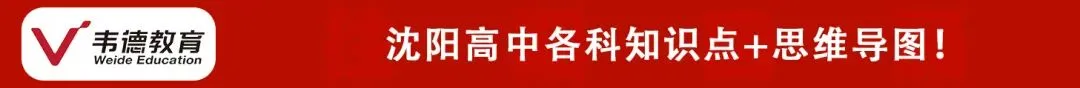 2025年沈阳初高中11月期中试卷及答案!(东北育才、省实验) 第4张 2025年沈阳初高中11月期中试卷及答案!(东北育才、省实验) 第4张