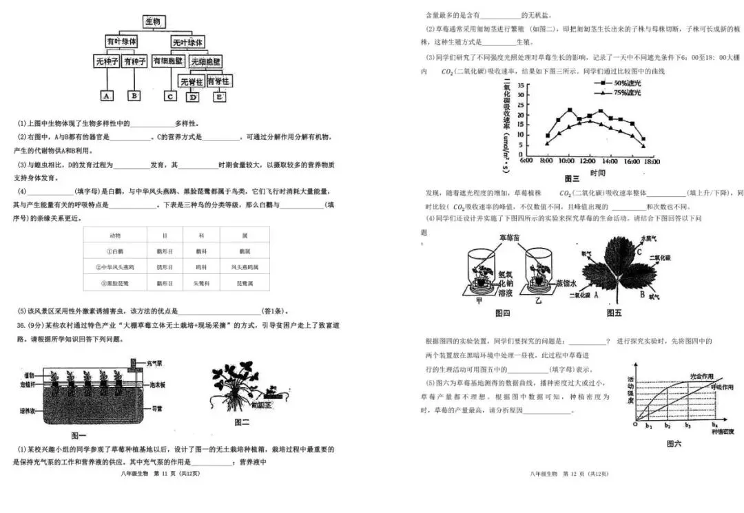 2025年青岛八年级地生会考真题&各区模考真题(含答案,附近五年汇总) 第56张
