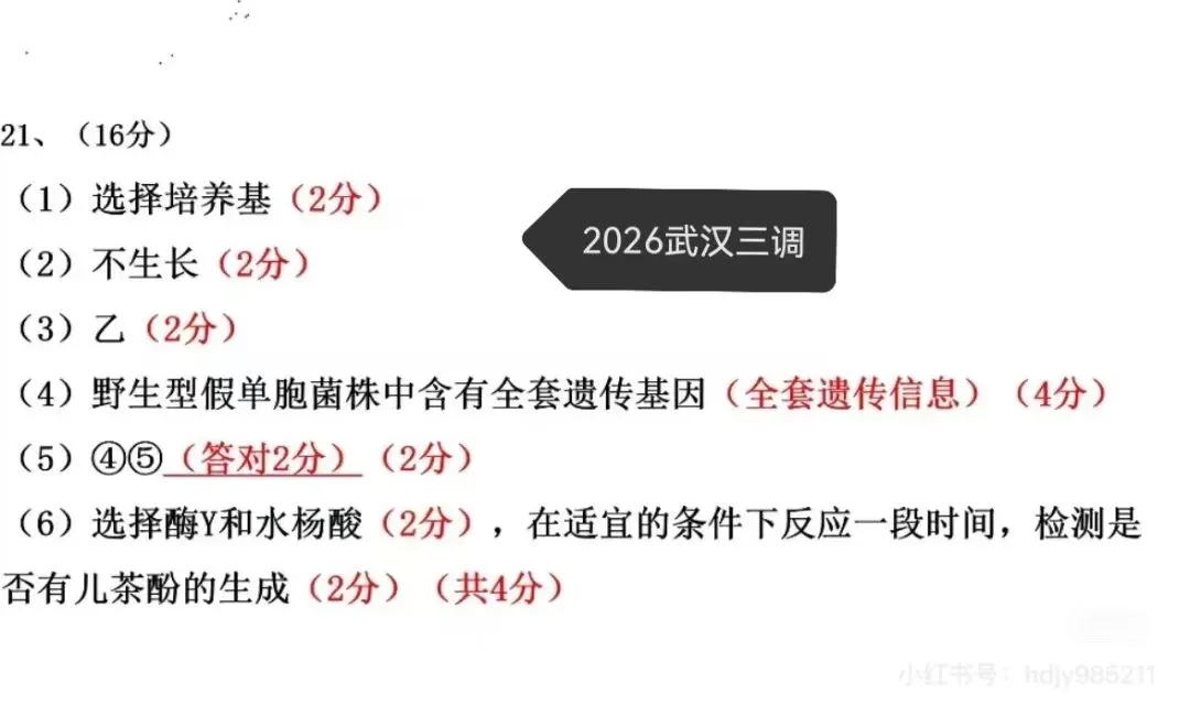 武汉三调试卷+答题卡+评分标准 第14张
