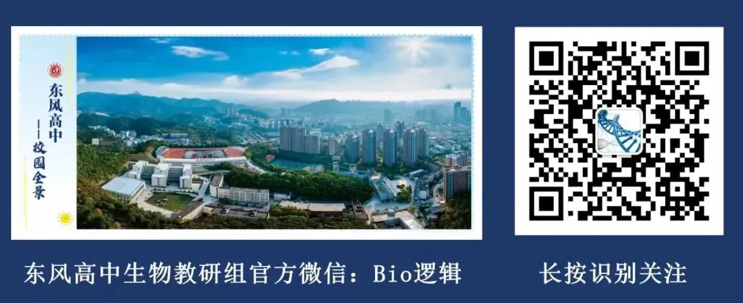 武汉三调试卷+答题卡+评分标准 第16张