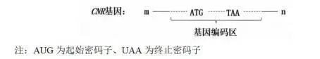 哈三中2026年高三学年第一次模拟考试生物试题 第2张