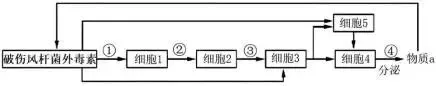 哈三中2026年高三学年第一次模拟考试生物试题 第6张