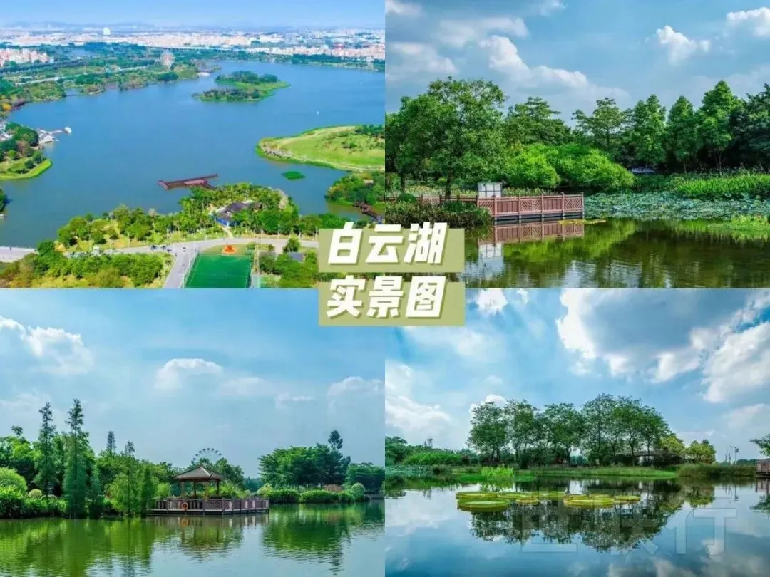 【品实云湖花城】配套中考六年霸的金广附,地铁学区房中的天花板,近期有少量特价现房笋盘单位,我们详细分析下其优缺点,附最新特价单位 第28张
