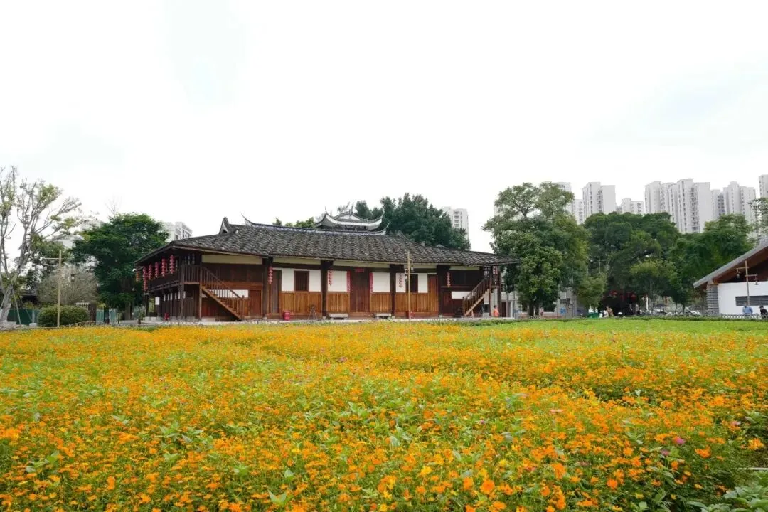 初中语文15本中考重点名著知识点梳理图片版+中考典型真题-第2张图片-四季读书网