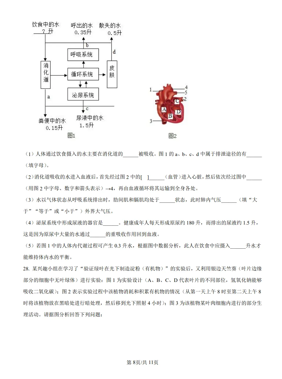 山东2025济南中考生物真题 | 2025年山东省济南市中考生物真题| 高清版,带答案-第8张图片-四季读书网 山东2025济南中考生物真题 | 2025年山东省济南市中考生物真题| 高清版,带答案-第8张图片-四季读书网