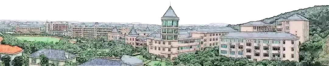 深研高考真题,共绘备考蓝图——高中化学科组高考备考策略研讨 第16张 深研高考真题,共绘备考蓝图——高中化学科组高考备考策略研讨 第16张