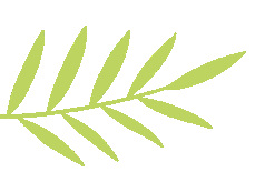 【真题训练】希望杯3-4年级往年真题(附答案),比赛轻松拿下高分! 第10张