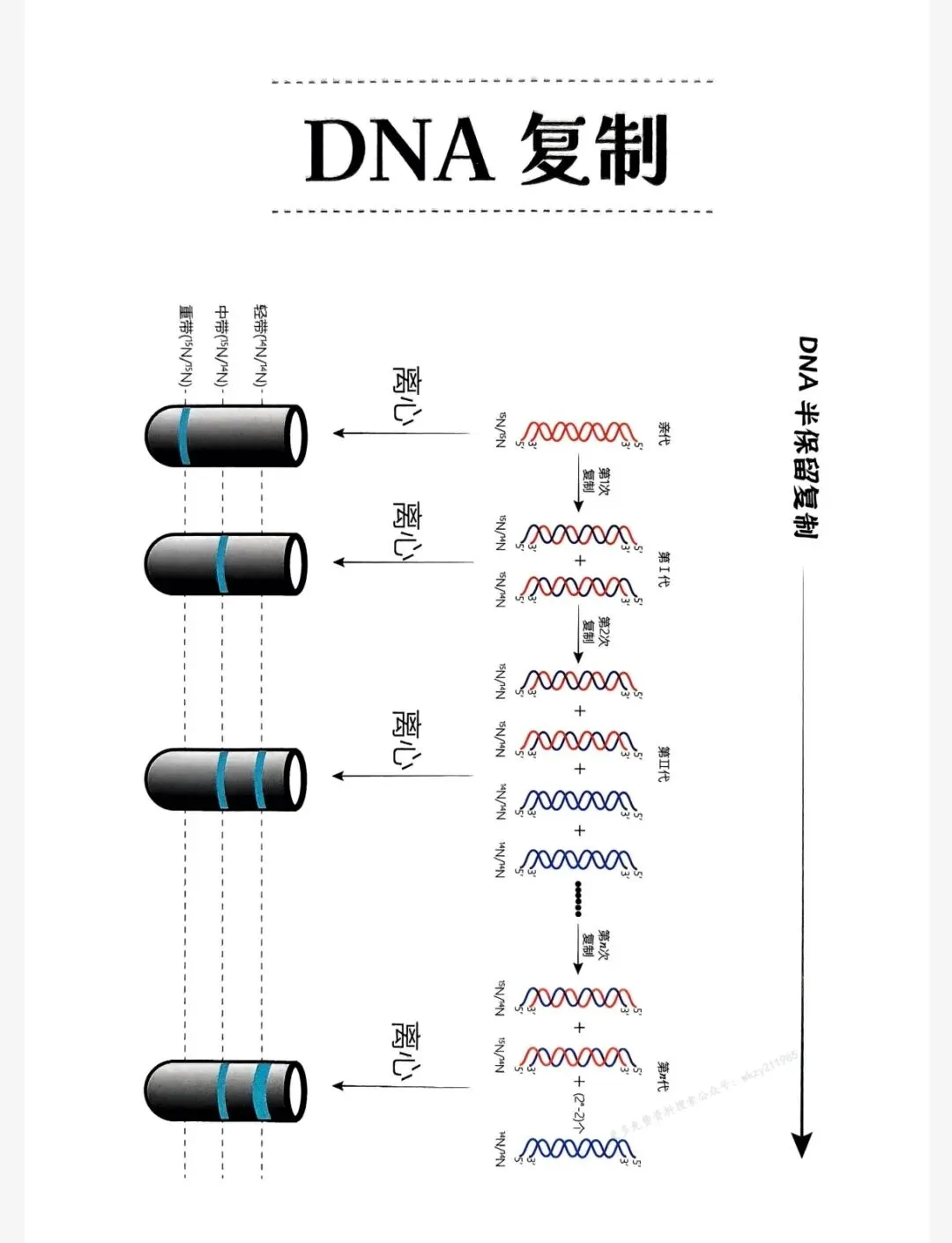 2026高考李林生物真题分类全刷培优400题(最新版PDF) 第4张 2026高考李林生物真题分类全刷培优400题(最新版PDF) 第4张