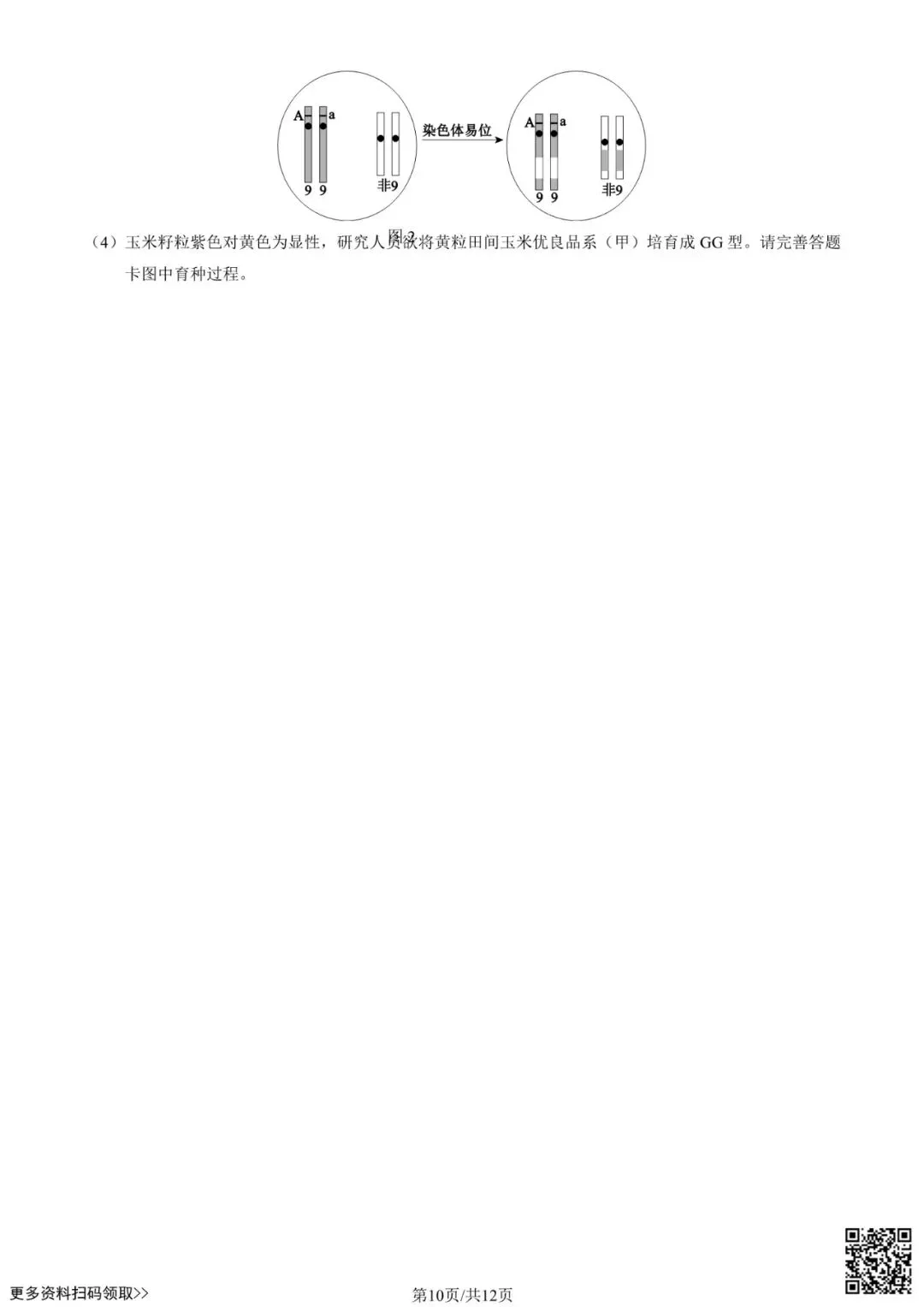 2025北京西城高三一模生物试卷(含答案) 第10张