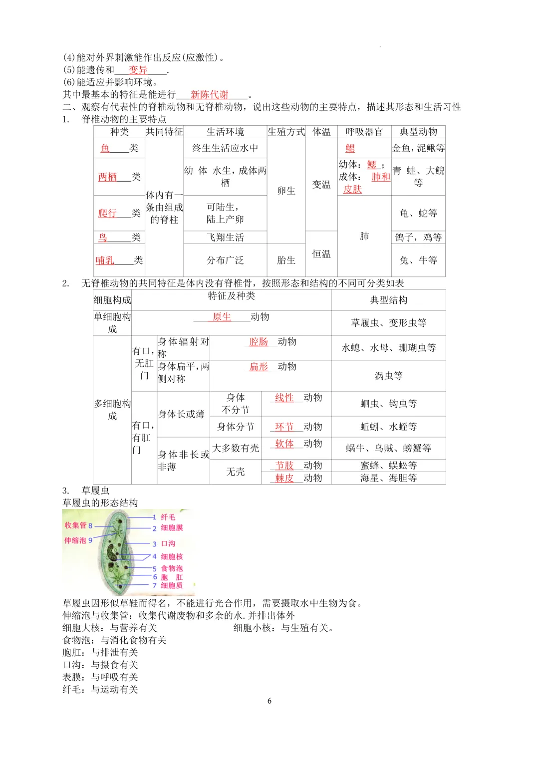 2026中考科学---生物知识点第一讲 第6张