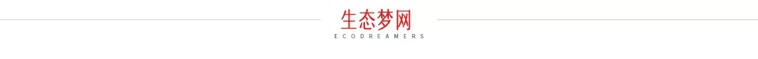中考生看过来!2026天津中考体测各项目演示视频官方版发布 第12张