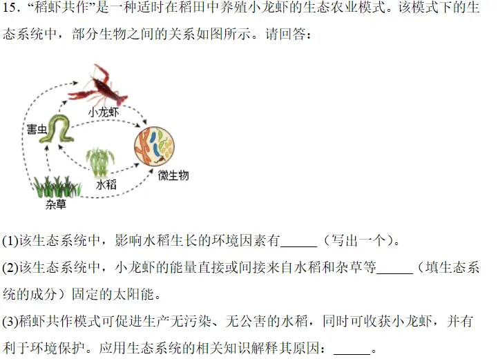 中考科学刷刷刷二(浙教版)-第12张图片-四季读书网