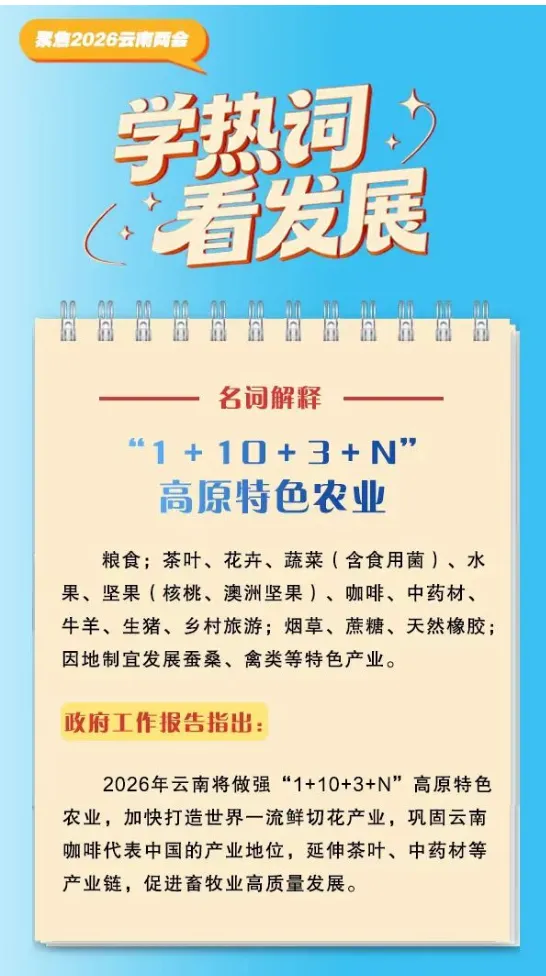 2026年云南省三支一扶招募笔试历年真题卷答案往年试卷答案2026年云南省高校毕业生三支一扶招募笔试重要考点之图解云南省十五五规划纲要-第29张图片-四季读书网