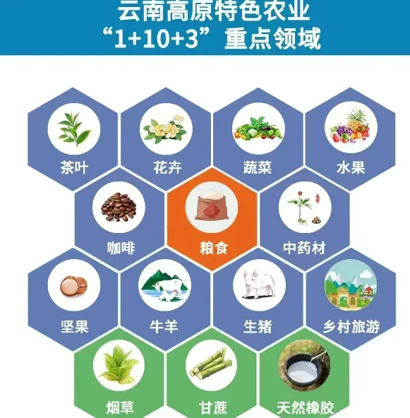 2026年云南省三支一扶招募笔试历年真题卷答案往年试卷答案2026年云南省高校毕业生三支一扶招募笔试重要考点之图解云南省十五五规划纲要-第60张图片-四季读书网