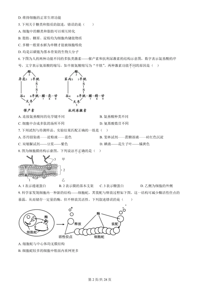 2024北京朝阳高一上册期末生物试卷(有答案)【可下载】-第2张图片-四季读书网