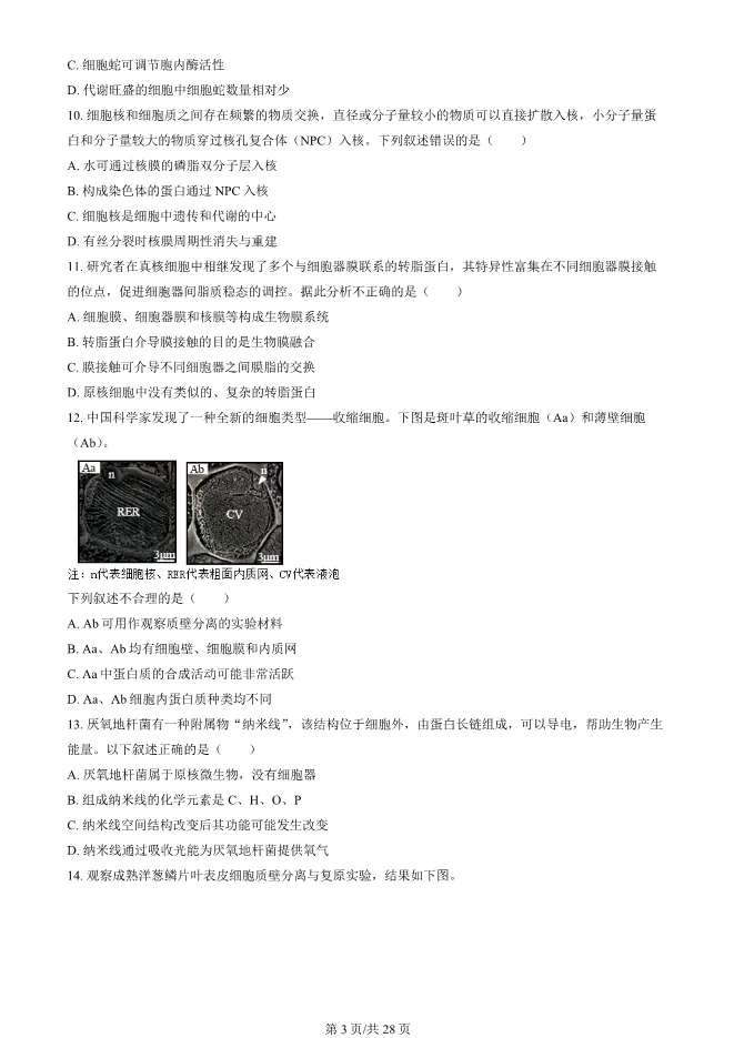 2024北京朝阳高一上册期末生物试卷(有答案)【可下载】-第3张图片-四季读书网