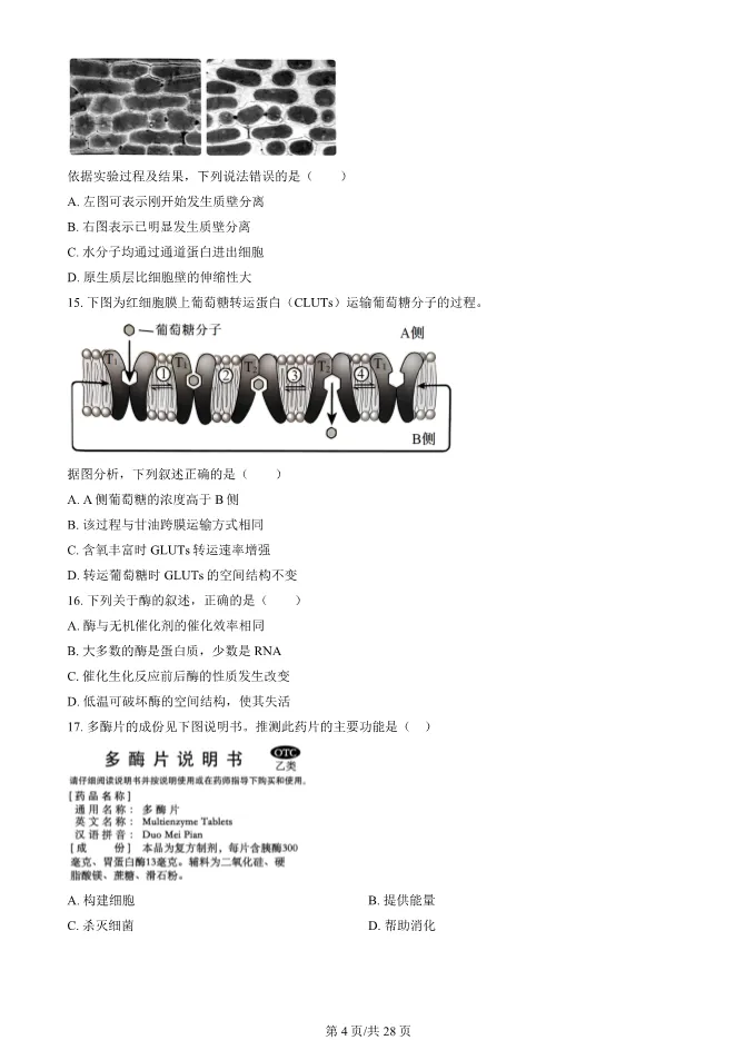 2024北京朝阳高一上册期末生物试卷(有答案)【可下载】-第4张图片-四季读书网