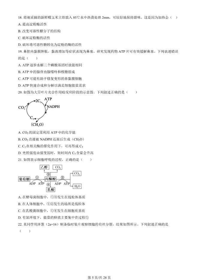 2024北京朝阳高一上册期末生物试卷(有答案)【可下载】-第5张图片-四季读书网
