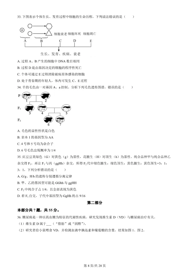 2024北京朝阳高一上册期末生物试卷(有答案)【可下载】-第8张图片-四季读书网
