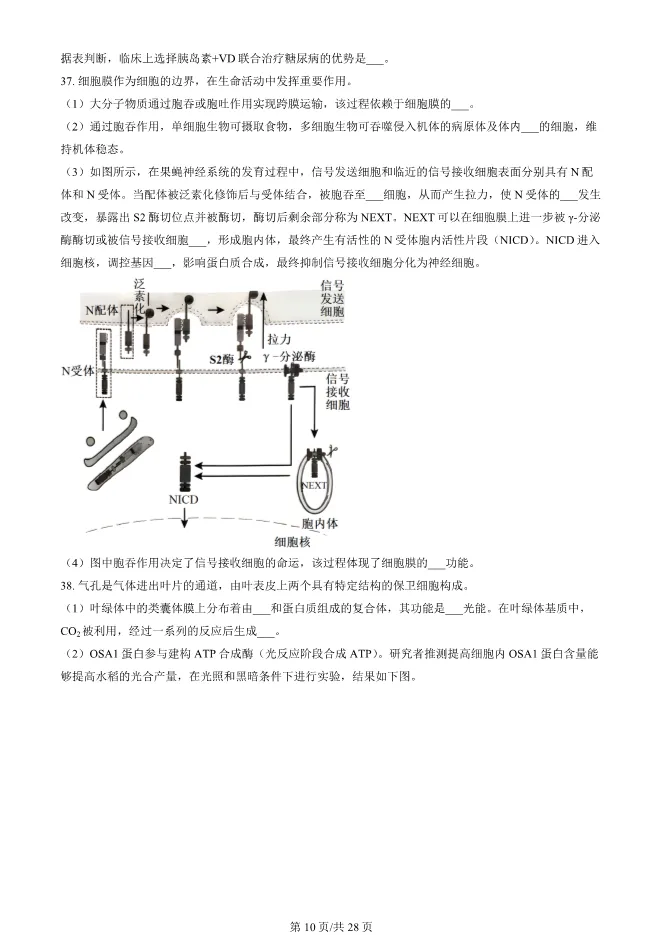 2024北京朝阳高一上册期末生物试卷(有答案)【可下载】-第10张图片-四季读书网
