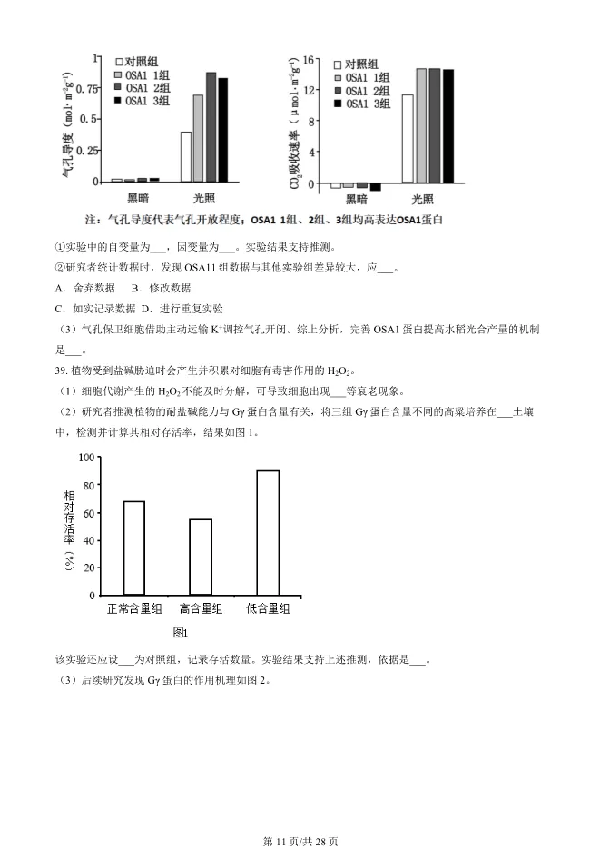 2024北京朝阳高一上册期末生物试卷(有答案)【可下载】-第11张图片-四季读书网