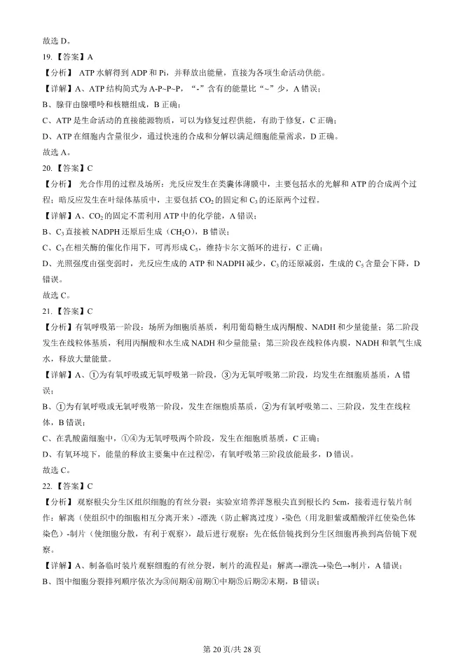 2024北京朝阳高一上册期末生物试卷(有答案)【可下载】-第20张图片-四季读书网