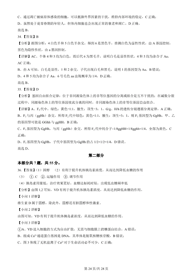2024北京朝阳高一上册期末生物试卷(有答案)【可下载】-第24张图片-四季读书网