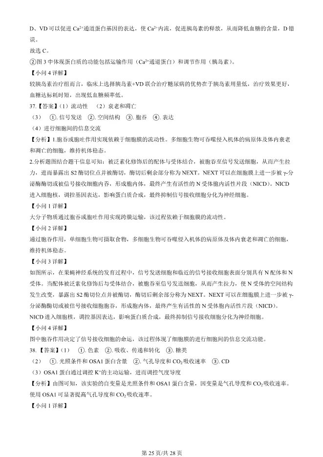 2024北京朝阳高一上册期末生物试卷(有答案)【可下载】-第25张图片-四季读书网