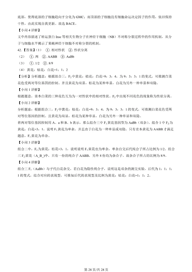 2024北京朝阳高一上册期末生物试卷(有答案)【可下载】-第28张图片-四季读书网